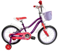 Schwinn Elm 16 Inch Wheel Kids Bike Purple
