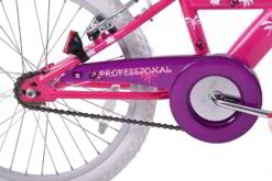 Professional Miami Miss 20 Inch Wheel Kids Bike Pink And Purple -CycleKing Shop 81a4olj8ohl. ac sl1500 1