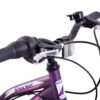 Professional Shocker 20 Inch Wheel Kids Mountain Bike Purple