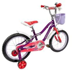 Schwinn Elm 16 Inch Wheel Kids Bike Purple -CycleKing Shop DSC08041
