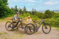 Claud Butler Wrath 1.0 29 Inch Wheel Electric Bike Grey -CycleKing Shop DSC08405