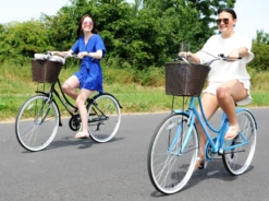 Ammaco Classique Dutch Lifestyle Bike Black -CycleKing Shop DSC 0042