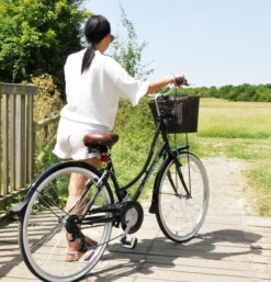 Ammaco Classique Dutch Lifestyle Bike Black -CycleKing Shop DSC 0103