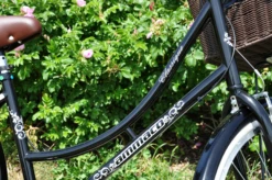 Ammaco Classique Dutch Lifestyle Bike Black -CycleKing Shop DSC 0141