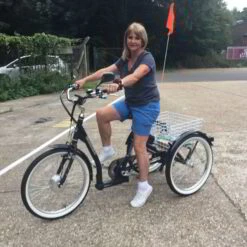 Mission E-Mission Electric Adult Tricycle Silver