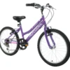 Professional Enchant 20 Inch Kids Bike Purple 2 Professional Enchant 20 Inch Kids Bike Purple -CycleKing Shop ENCHANTEDJ