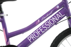 Professional Enchant 20 Inch Kids Bike Purple 21 Professional Enchant 20 Inch Kids Bike Purple -CycleKing Shop ENCHANTEDa