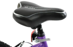 Professional Enchant 20 Inch Kids Bike Purple 18 Professional Enchant 20 Inch Kids Bike Purple -CycleKing Shop ENCHANTEDd