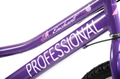 Professional Enchant 20 Inch Kids Bike Purple 16 Professional Enchant 20 Inch Kids Bike Purple -CycleKing Shop ENCHANTEDf