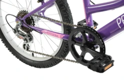 Professional Enchant 20 Inch Kids Bike Purple 15 Professional Enchant 20 Inch Kids Bike Purple -CycleKing Shop ENCHANTEDg