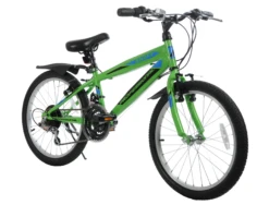 Professional Shift 20 Inch Wheel Mountain Bike Green