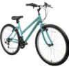 Arden Trail Mountain Bike Blue