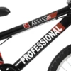 Professional Assassin 20 Inch Kids Bike Black