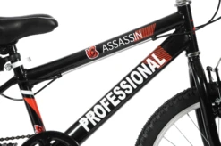 Professional Assassin 20 Inch Kids Bike Black