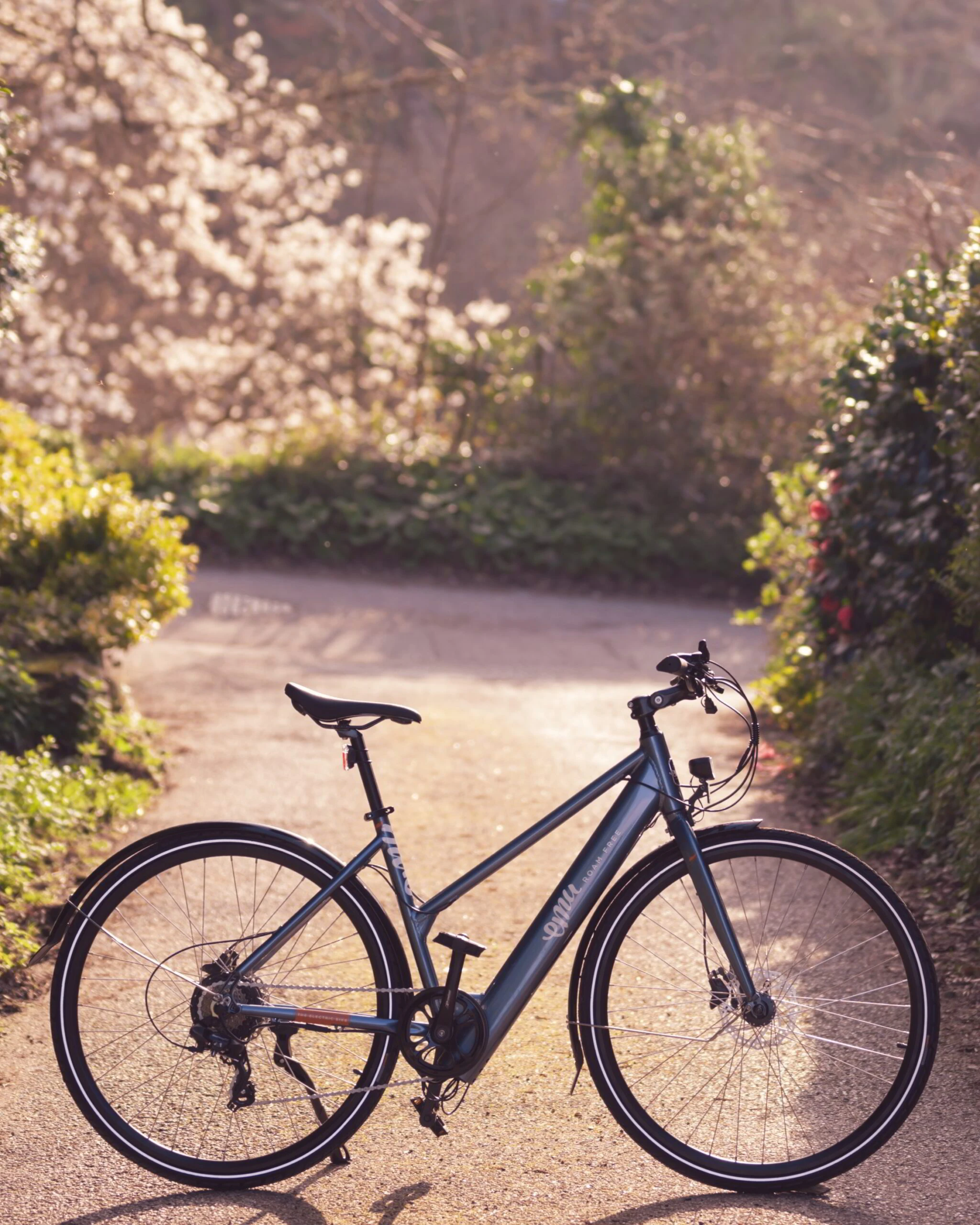 EMU Evo Step Through 700c Wheel Electric Bike Metallic Blue 12 EMU Evo Step Through 700c Wheel Electric Bike Metallic Blue - Image 10