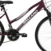 Salcano Shocker 24 Inch Wheel Kids Mountain Bike Purple -CycleKing Shop shock203