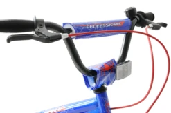 Professional Spider 20 Inch Wheel Kids Bike Blue